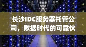 长沙IDC服务器托管公司，数据时代的可靠伙伴