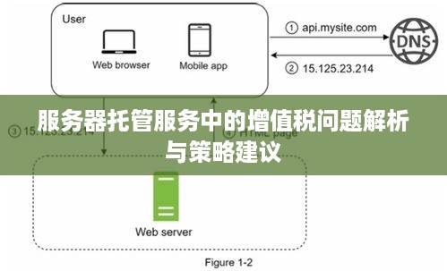 服务器托管服务中的增值税问题解析与策略建议