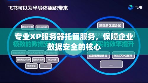 专业XP服务器托管服务，保障企业数据安全的核心