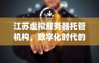 江苏虚拟服务器托管机构，数字化时代的技术革新与服务升级