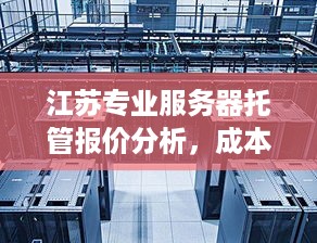 江苏专业服务器托管报价分析，成本、性能与服务比较