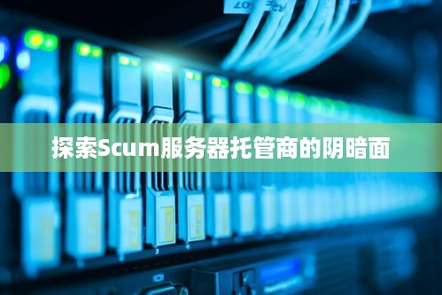 探索Scum服务器托管商的阴暗面