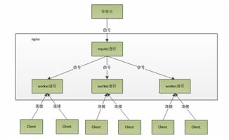 在家托管服务器，技术与实践的双刃剑