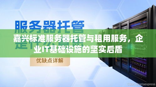 嘉兴标准服务器托管与租用服务，企业IT基础设施的坚实后盾