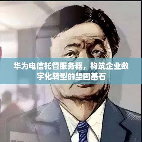 华为电信托管服务器，构筑企业数字化转型的坚固基石