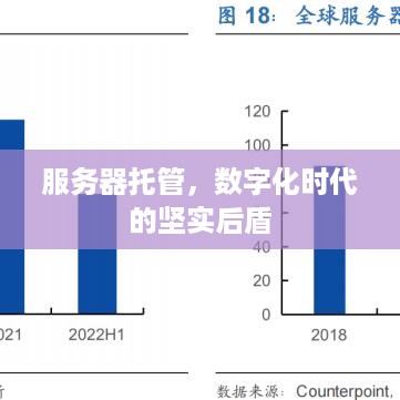 服务器托管，数字化时代的坚实后盾