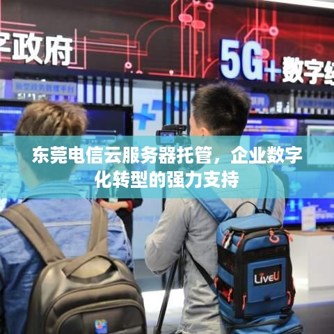 东莞电信云服务器托管，企业数字化转型的强力支持