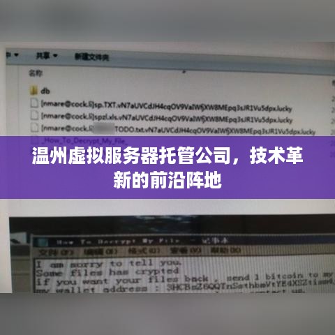 温州虚拟服务器托管公司，技术革新的前沿阵地