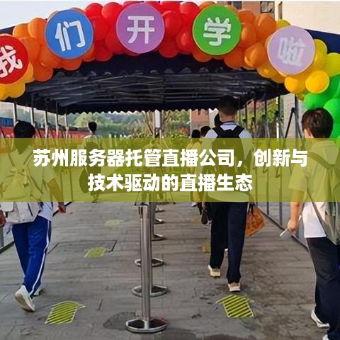 苏州服务器托管直播公司，创新与技术驱动的直播生态