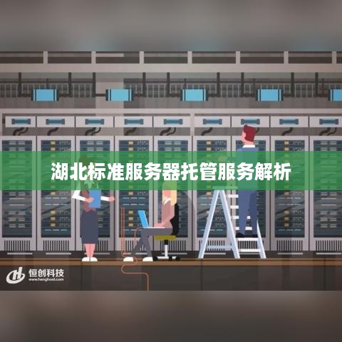 湖北标准服务器托管服务解析