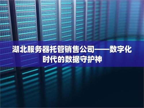 湖北服务器托管销售公司——数字化时代的数据守护神