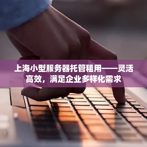 上海小型服务器托管租用——灵活高效，满足企业多样化需求