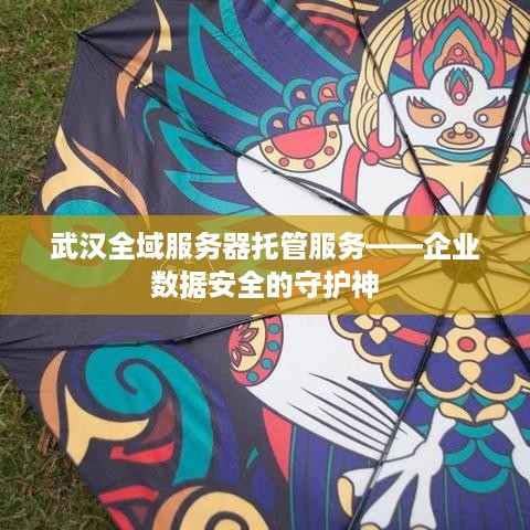 武汉全域服务器托管服务——企业数据安全的守护神