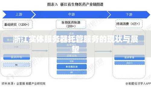 浙江实体服务器托管服务的现状与展望