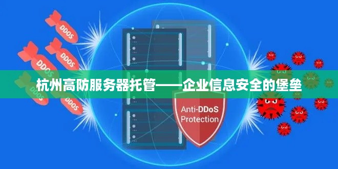 杭州高防服务器托管——企业信息安全的堡垒