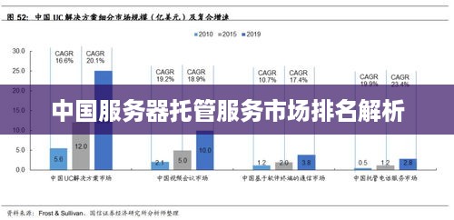 中国服务器托管服务市场排名解析