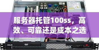 服务器托管100ss，高效、可靠还是成本之选？