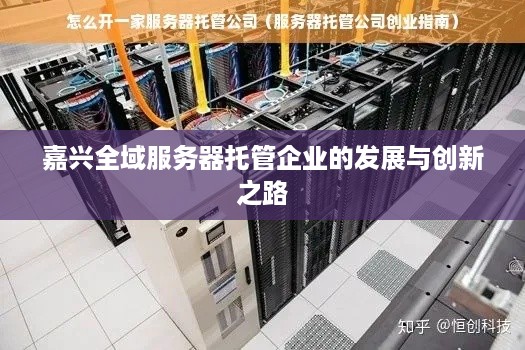 嘉兴全域服务器托管企业的发展与创新之路