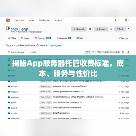 揭秘App服务器托管收费标准，成本、服务与性价比