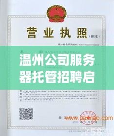 温州公司服务器托管招聘启事