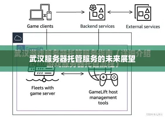 武汉服务器托管服务的未来展望