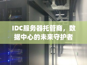 IDC服务器托管商，数据中心的未来守护者