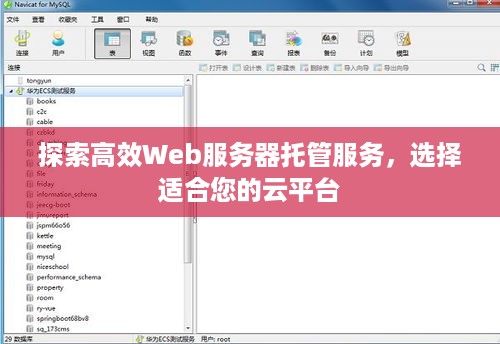 探索高效Web服务器托管服务，选择适合您的云平台