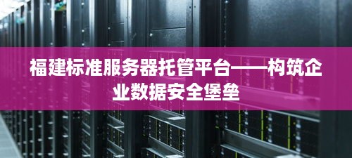 福建标准服务器托管平台——构筑企业数据安全堡垒