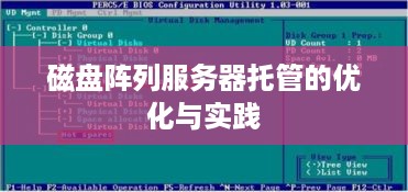 磁盘阵列服务器托管的优化与实践