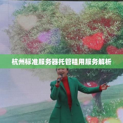 杭州标准服务器托管租用服务解析