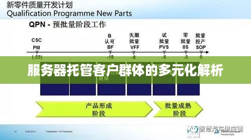 服务器托管客户群体的多元化解析