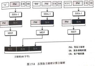 服务器托管客户群体的多元化解析