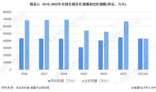 服务器托管价格的考量与决策