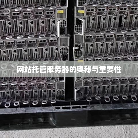 网站托管服务器的奥秘与重要性