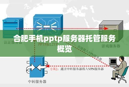 合肥手机pptp服务器托管服务概览