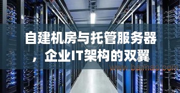 自建机房与托管服务器，企业IT架构的双翼