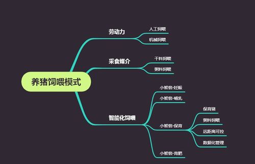 探秘福建服务器托管费用——成本、选择与效益