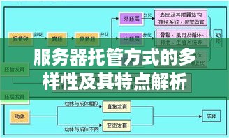 服务器托管方式的多样性及其特点解析