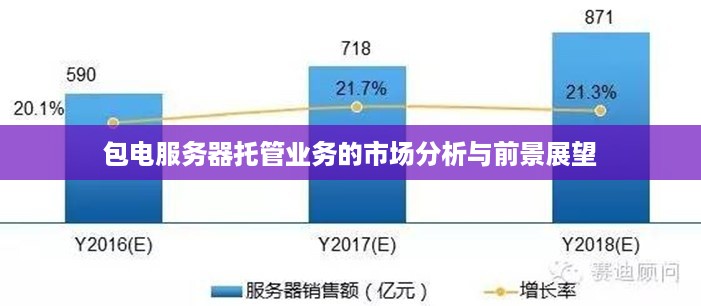 包电服务器托管业务的市场分析与前景展望