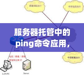 服务器托管中的ping命令应用，确保网络连接的可靠性与效率