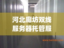 河北廊坊双线服务器托管服务详解