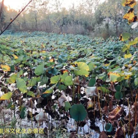 江苏全域服务器托管价格概览