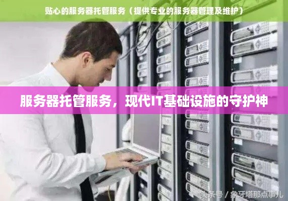 服务器托管服务，现代IT基础设施的守护神