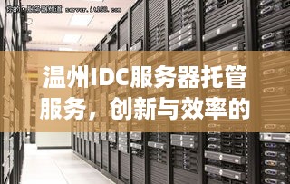 温州IDC服务器托管服务，创新与效率的完美结合