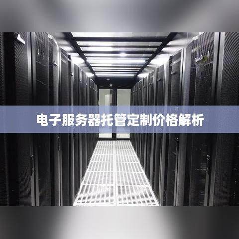 电子服务器托管定制价格解析