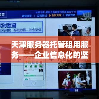 天津服务器托管租用服务——企业信息化的坚实后盾