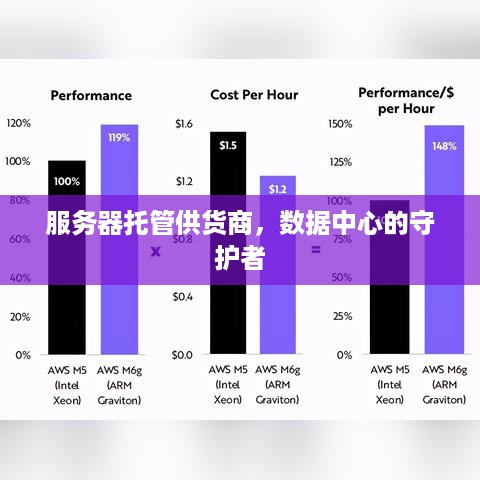 服务器托管供货商，数据中心的守护者