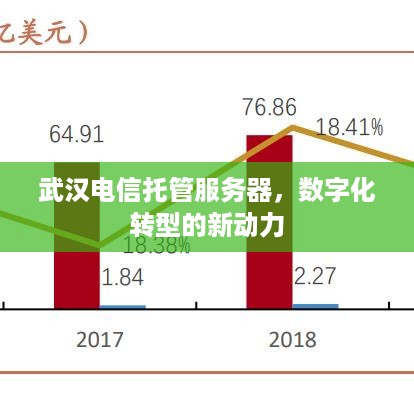 武汉电信托管服务器，数字化转型的新动力