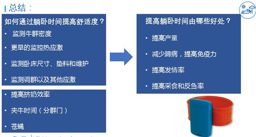 掌握服务器托管的黄金法则——高效、安全与优化