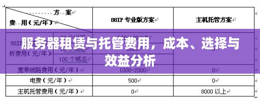 服务器租赁与托管费用，成本、选择与效益分析